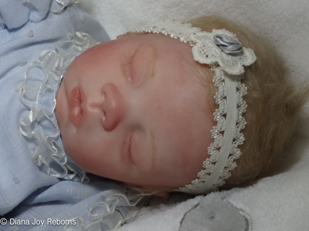 Lifelike Reborn Baby Doll Megan for Sale